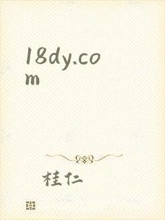 18dy.com