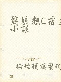 系统想C宿主的小说