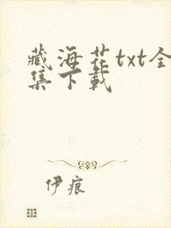 藏海花txt全集下载封面