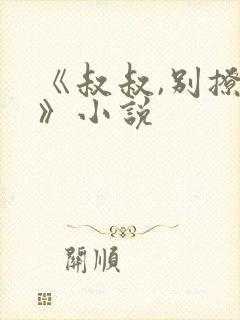 《叔叔,别撩我》小说封面