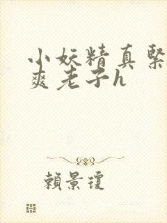 小妖精真紧h嘶爽老子h封面