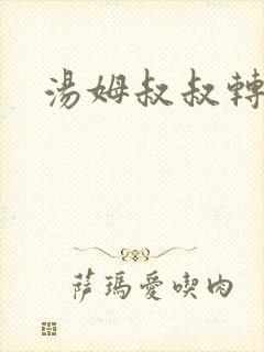 汤姆叔叔转接口