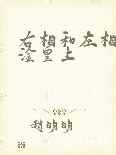 右相和左相一起淦皇上