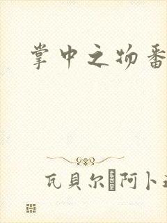 掌中之物番外