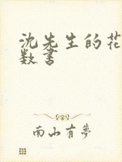 沈先生的花式调数书