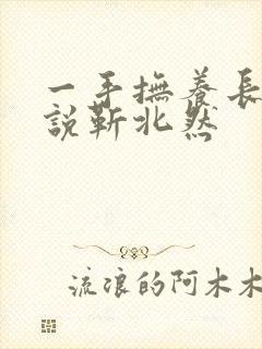 一手抚养长大小说靳北然