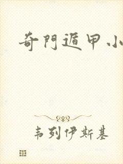 奇门遁甲小说封面