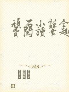 顽石小说全文免费阅读笔趣阁