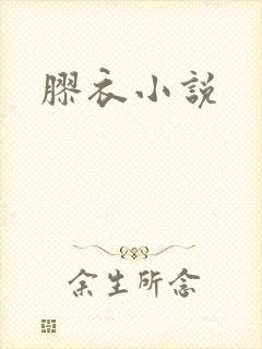 胶衣小说封面
