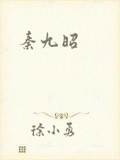 秦九昭封面
