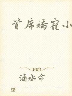 首席娇宠小情人