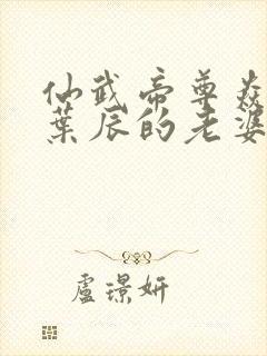 仙武帝尊焱妃是叶辰的老婆吗