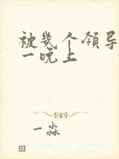 被几个领导玩弄一晚上