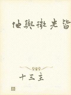 他与微光皆倾城封面