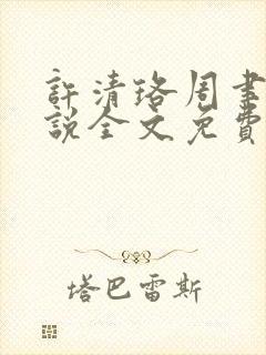 许清珞周聿衡小说全文免费阅读