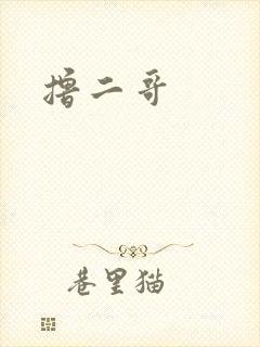撸二哥