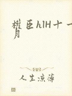 权臣hlH十一月封面