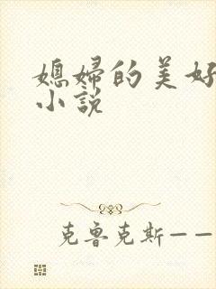 媳妇的美好时代小说