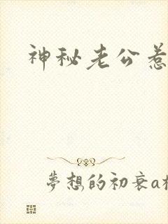 神秘老公惹不起