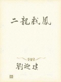 二龙戏凤