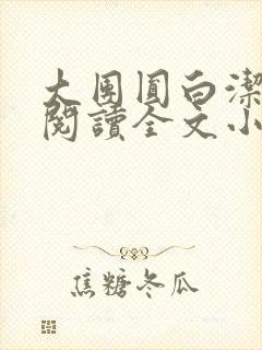 大团圆白洁免费阅读全文小说