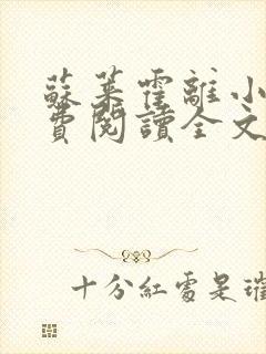 苏莱霍离小说免费阅读全文