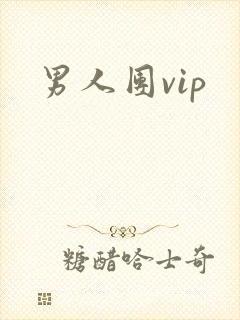 男人团vip封面