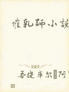 催乳师小说