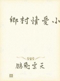 乡村情爱小说