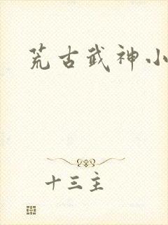 荒古武神小说