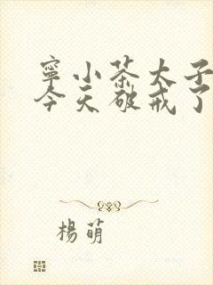 宁小茶太子殿下今天破戒了吗免费阅读