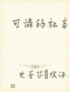 可怜的社畜小说