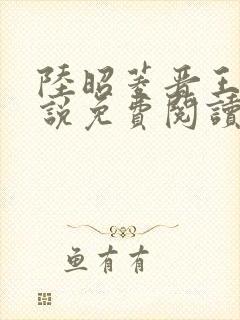 陆昭菱晋王的小说免费阅读