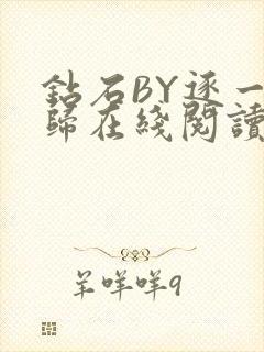 钻石BY逐一而归在线阅读