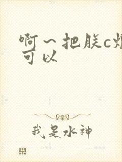 啊～把朕c烂都可以封面