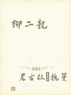 柳二龙