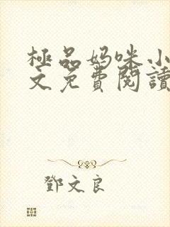 极品妈咪小说全文免费阅读