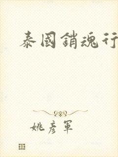 泰国销魂行封面