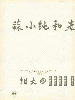 苏小纯和老苏封面