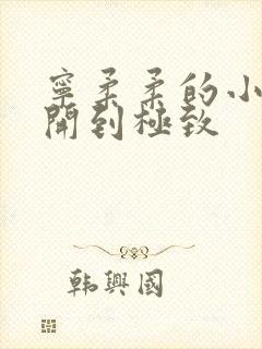 宁柔柔的小泬撑开到极致