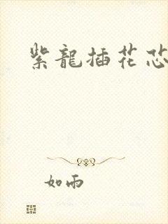 紫龙插花芯方正