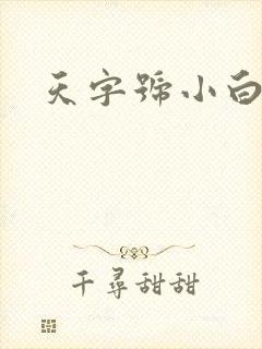天字号小白脸封面