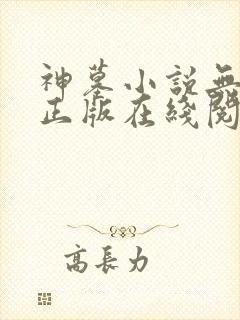 神墓小说无删减正版在线阅读