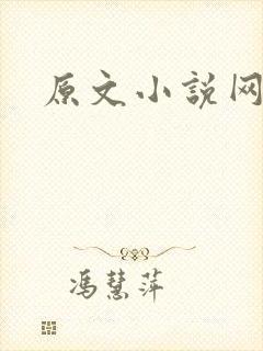 原文小说网