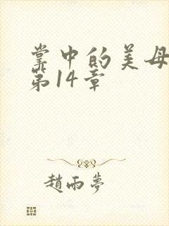 掌中的美母版主第14章