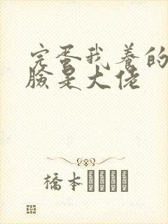 完蛋我养的小白脸是大佬