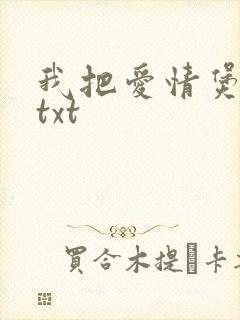 我把爱情煲成汤txt