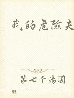 我的危险夫人封面