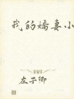 我的娇妻小说封面