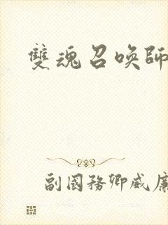 双魂召唤师封面